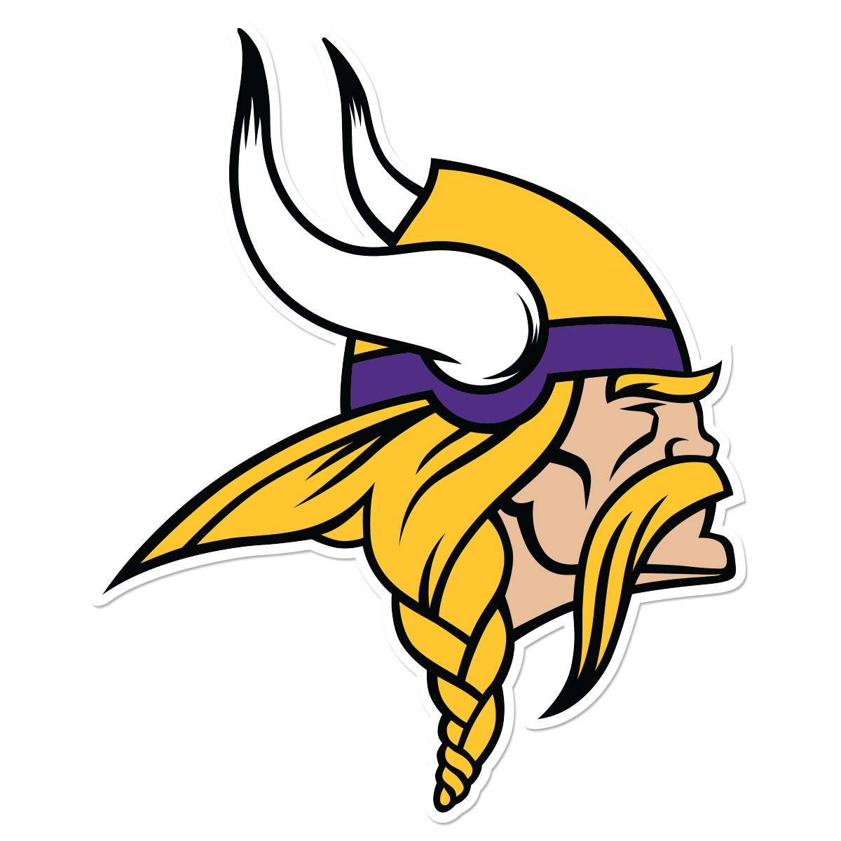 Minnesota Vikings Stadium Funding | SportsBiz | Martin J. Greenberg
