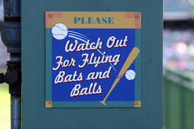 Watch for Flying Balls and Bats